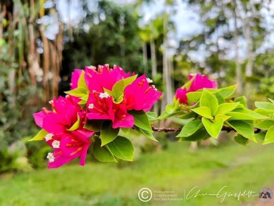 Phurin Thara Resort Koh Lanta Bagian luar foto